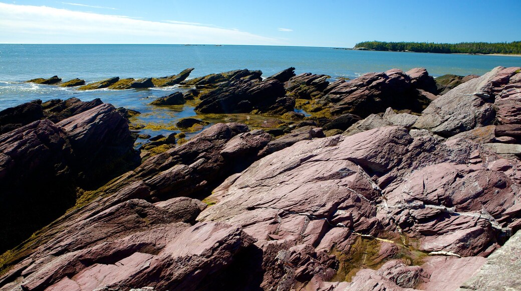 Chance Harbour featuring rugged coastline