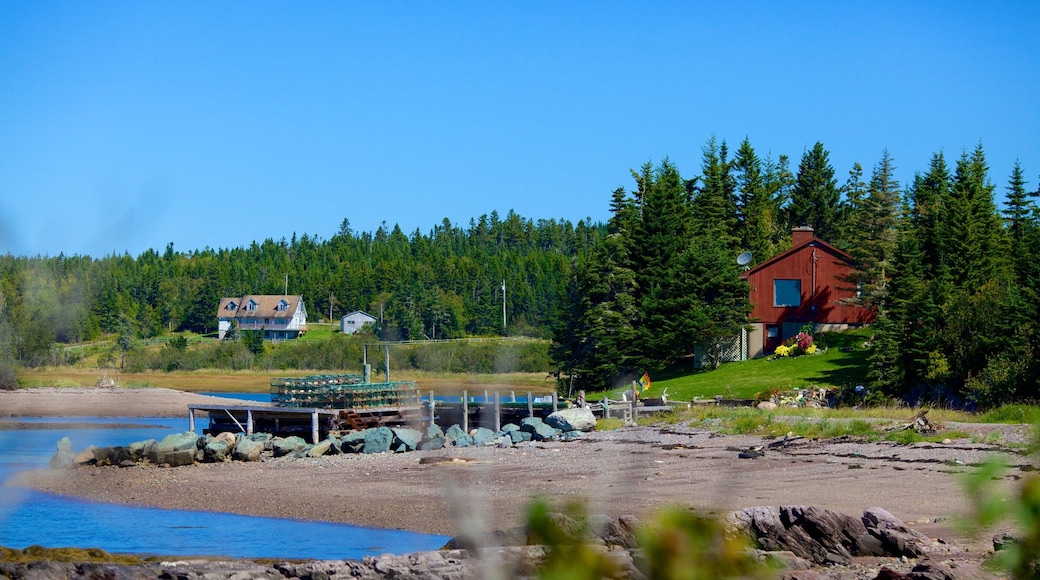 Chance Harbour featuring general coastal views
