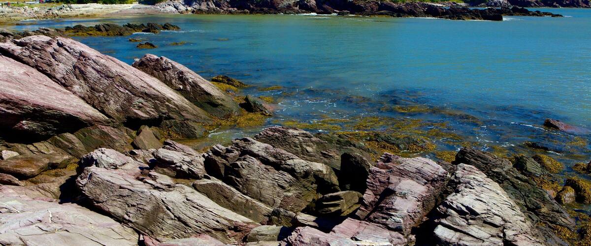 Chance Harbour featuring rugged coastline