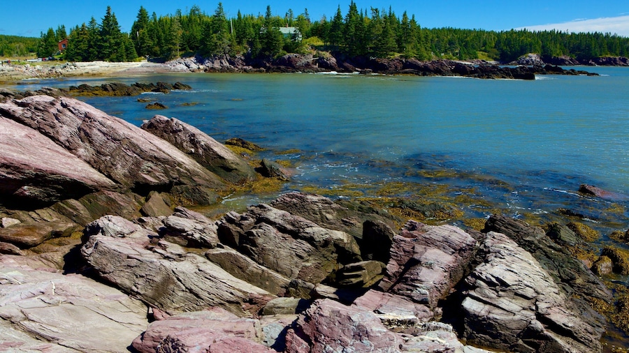 Chance Harbour showing rugged coastline