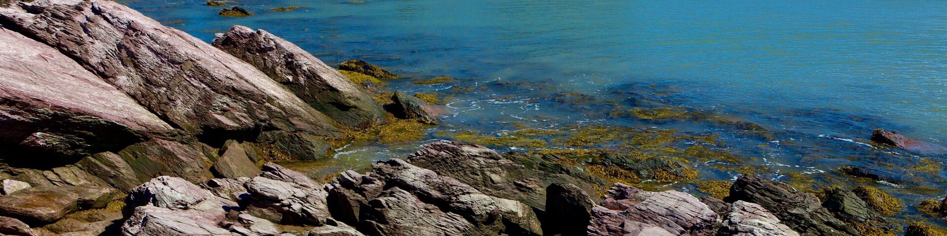 Chance Harbour montrant cĂŽte rocheuse