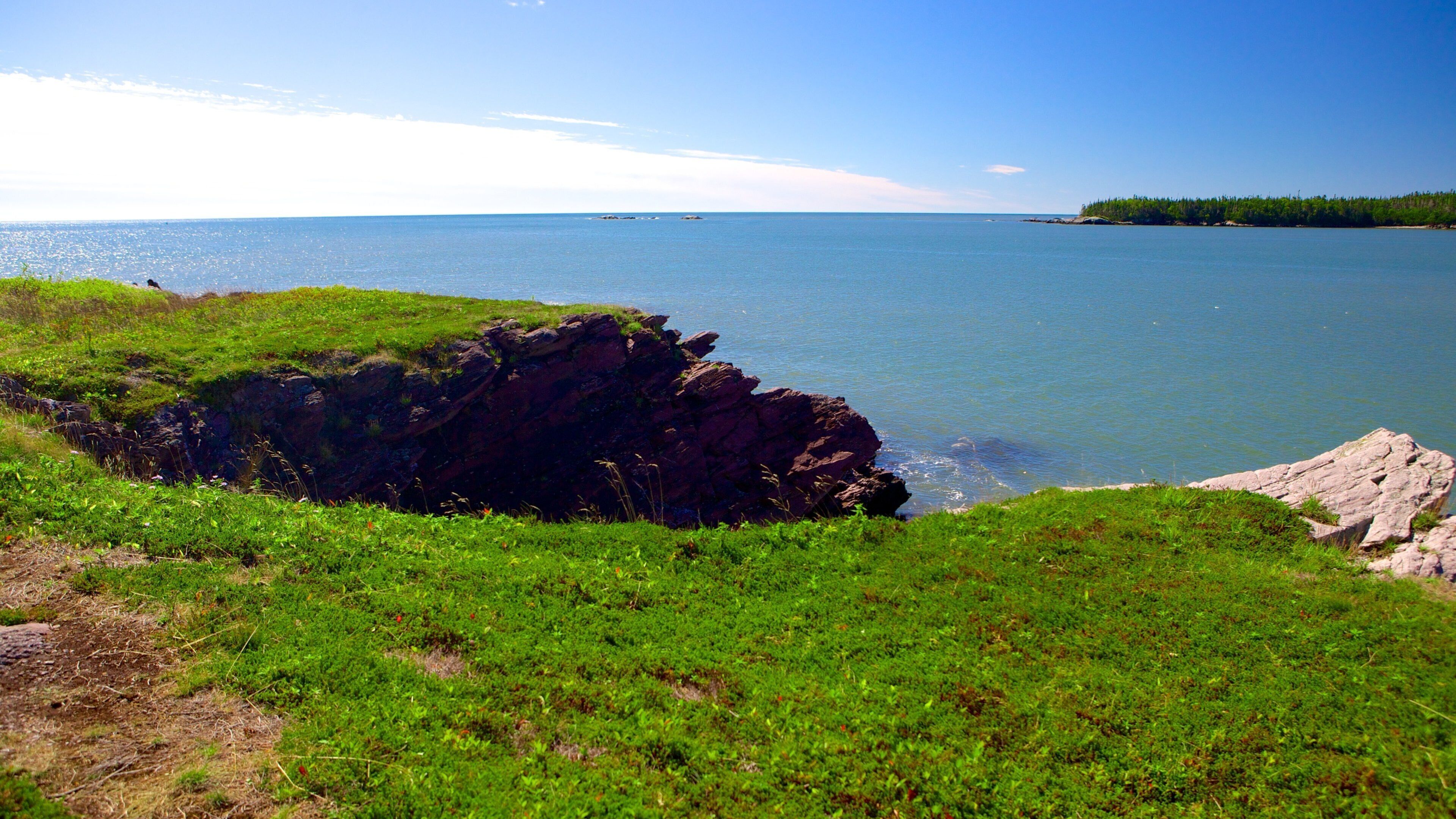 Chance Harbour which includes general coastal views