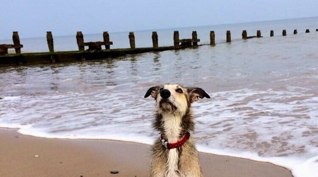 Is there a storm brewing? #BeachBound