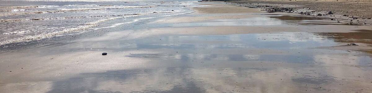 Ein Strand mit blauem Himmel und sanften Wellen.