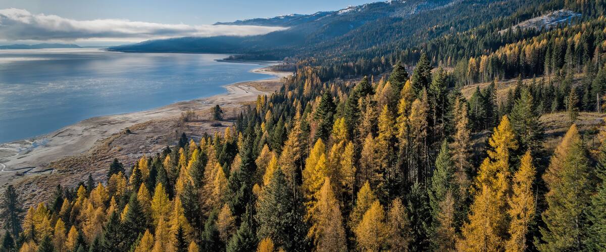 A mountainous landscape with a lake, autumn-colored trees, and snow-capped peaks.