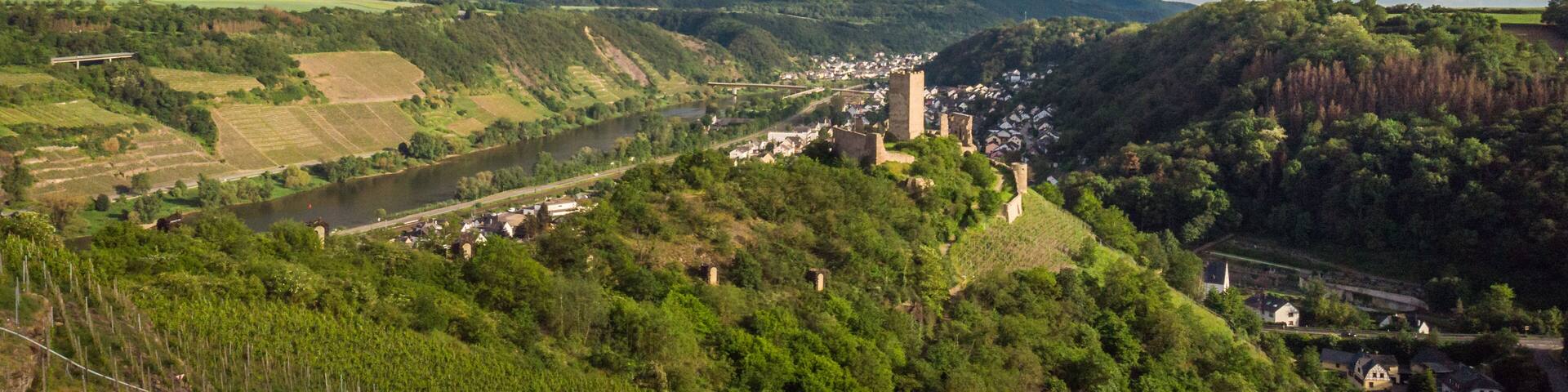 A river winding through a valley with a castle on a hill and a small town below.