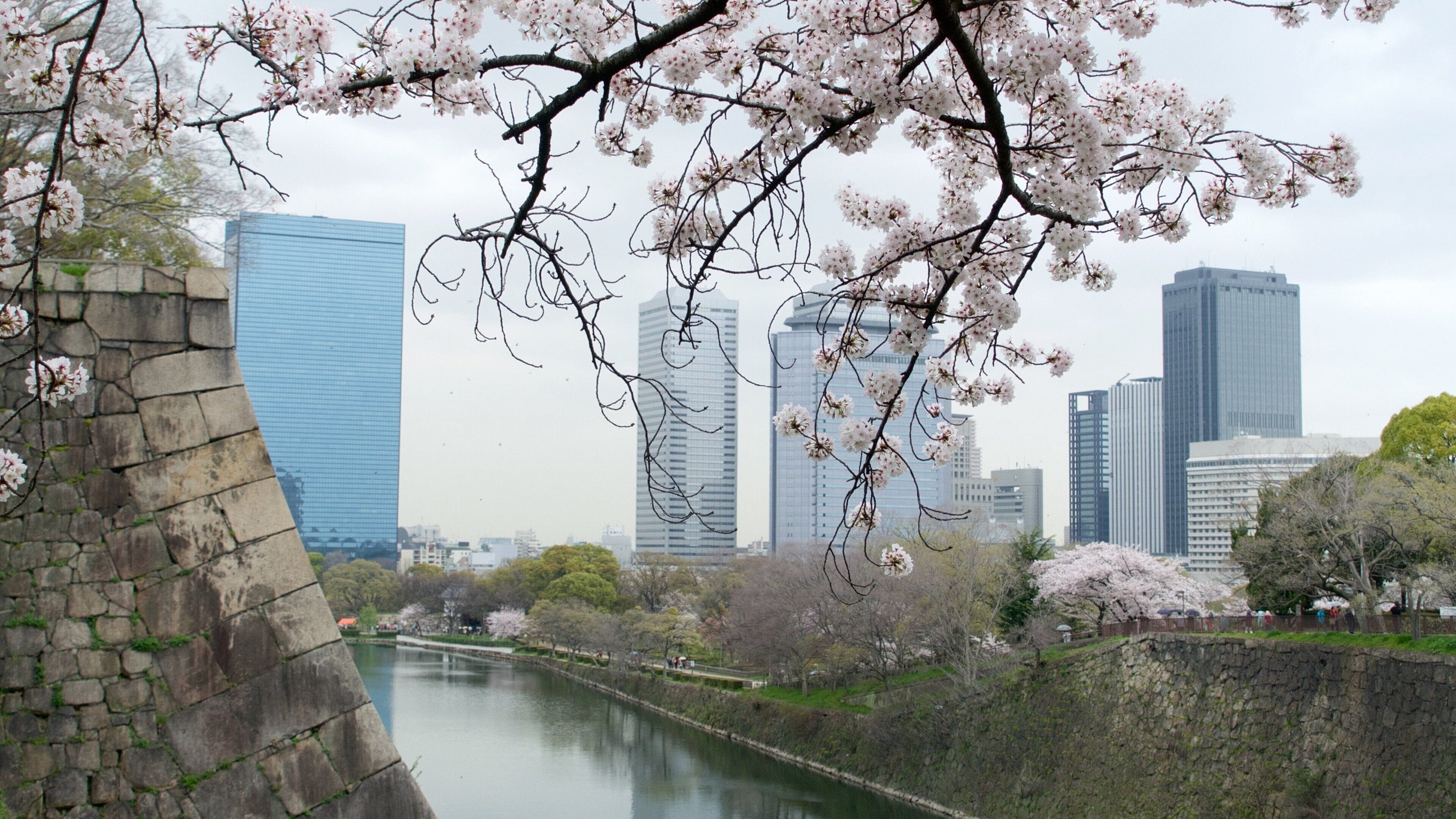Osaka which includes flowers, a river or creek and a city