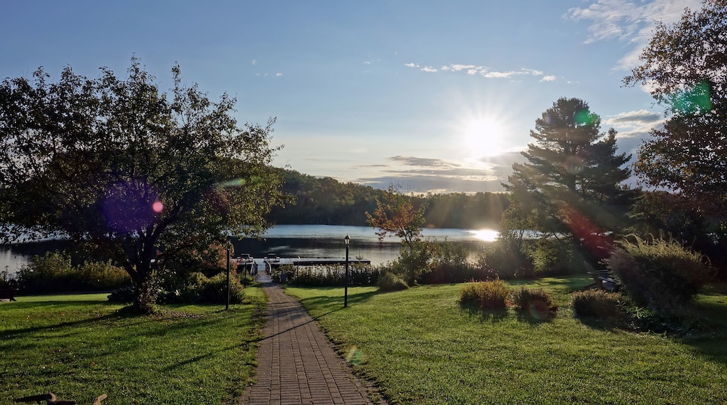 Canada, Lac à l'eau claire, Saint-Alexis-des-Monts, lac, ile, forêt, reflet, nature, sauvage, sapin, barques, ponton,