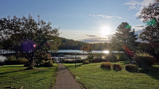 Canada, Lac à l'eau claire, Saint-Alexis-des-Monts, lac, ile, forêt, reflet, nature, sauvage, sapin, barques, ponton,