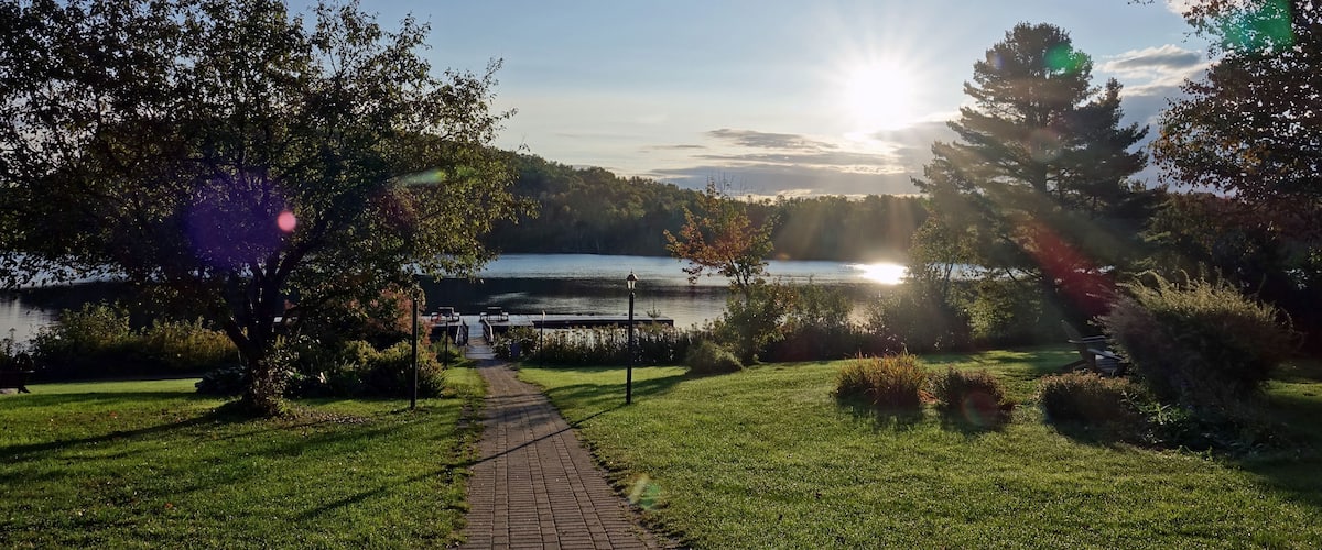 A park with a paved path, trees, and a lake.