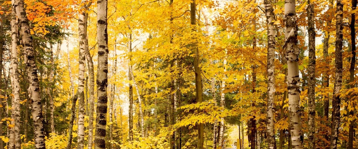 This is the hotel that I'm staying at in Quebec, about an hour and a half from Montreal! This place is amazing in Fall and I assume every time of the year!