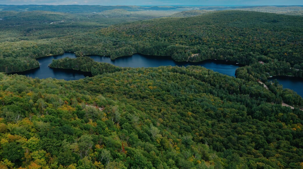 Lake and forest in nature. Lac Lambert, Saint-Alexis-des-Monts, Quebec, Canada.