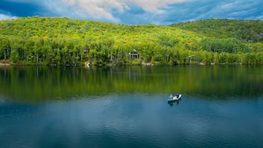 A calm lake surrounded by dense forest and a house on a hill.