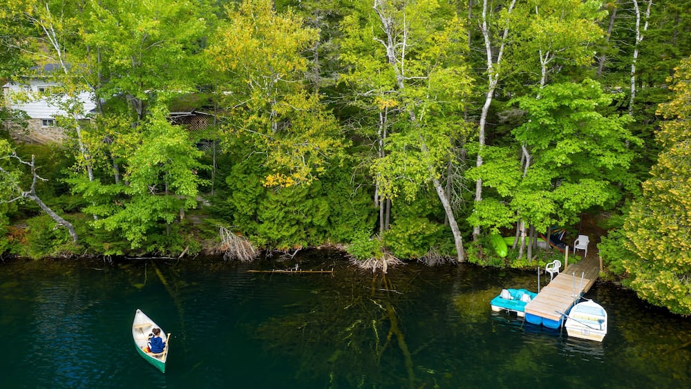 Un canoë sur une rivière paisible, entouré d’une forêt verdoyante et dense, avec un quai où sont amarrés des bateaux.