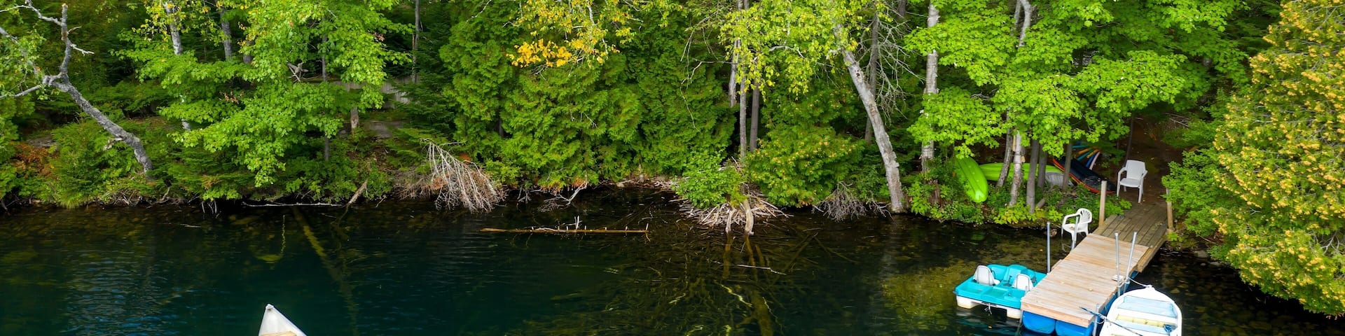 A canoe on a calm river, surrounded by dense green forest and a dock with boats.