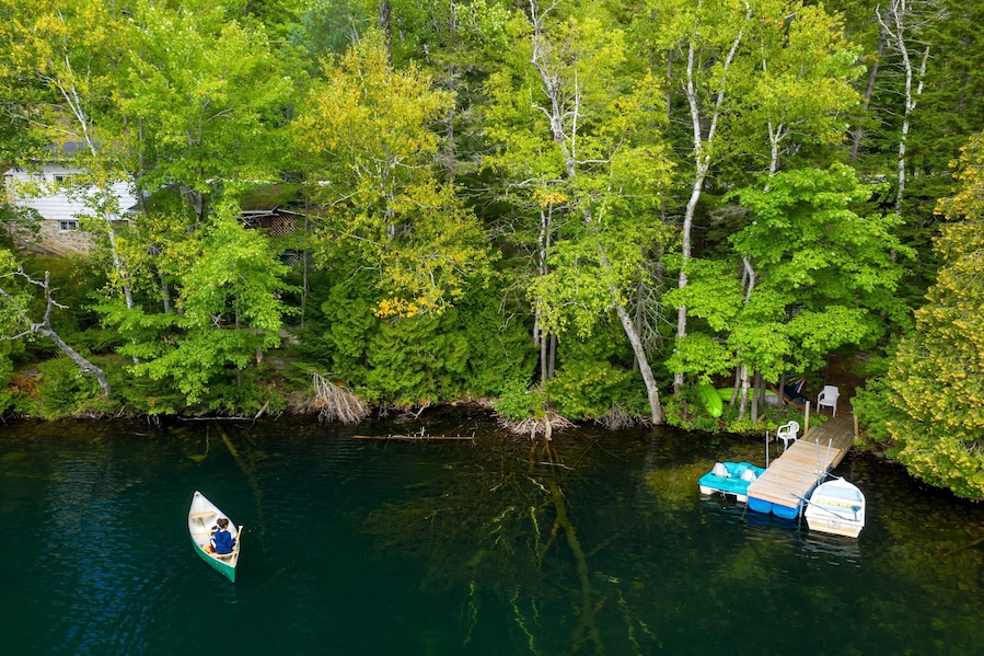 Una canoa en un río tranquilo, rodeada de un bosque verde frondoso y un muelle con barcos.