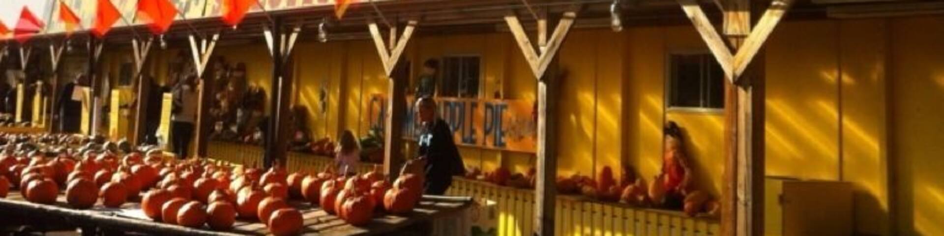 #candy #Jordan #Minnesota