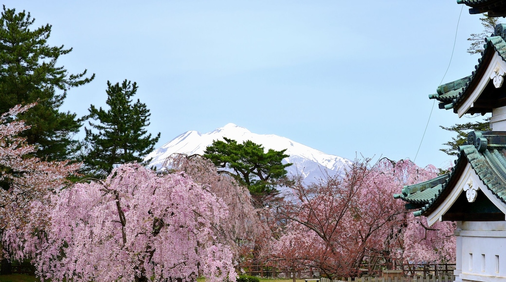 จังหวัดอาโอโมริ