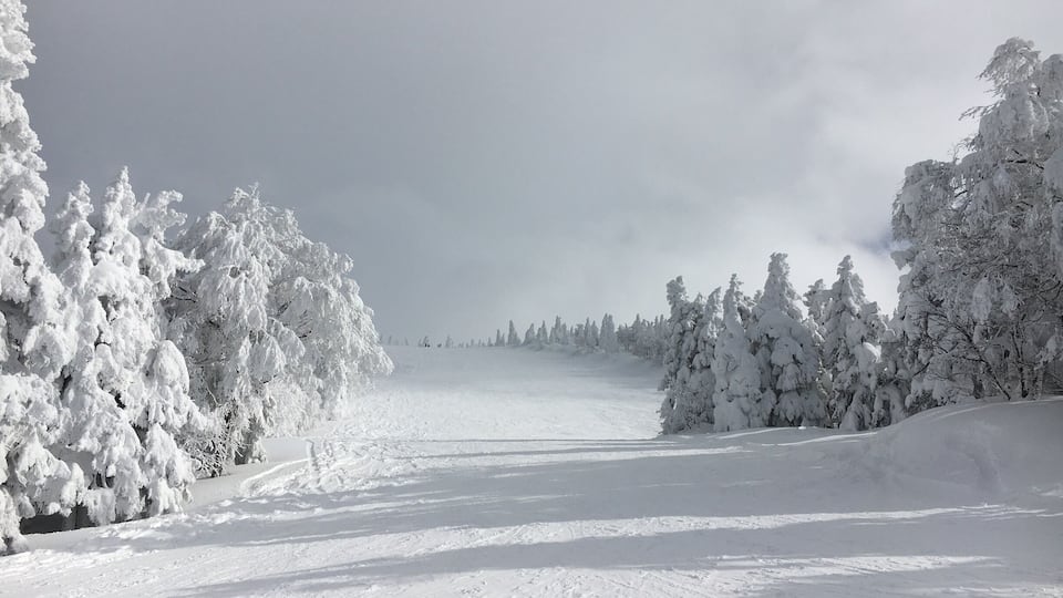 One of Zao mountains ski slopes where you can only hear the sound of silence!