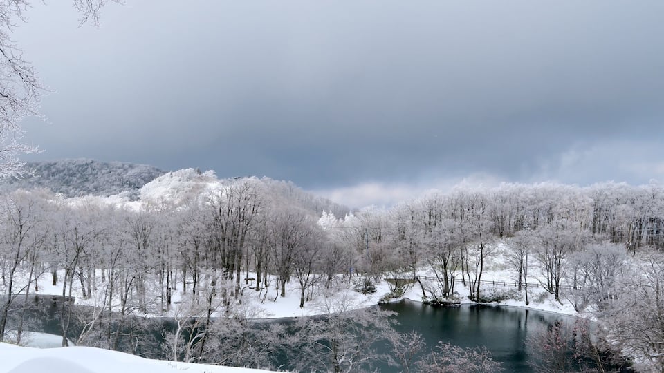 Winter vacation skiing in Japan ,Zao