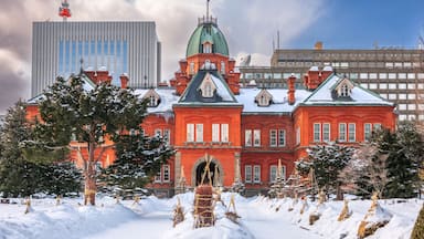 En historisk röd byggnad med en grön kupol och snötäckta träd framför.