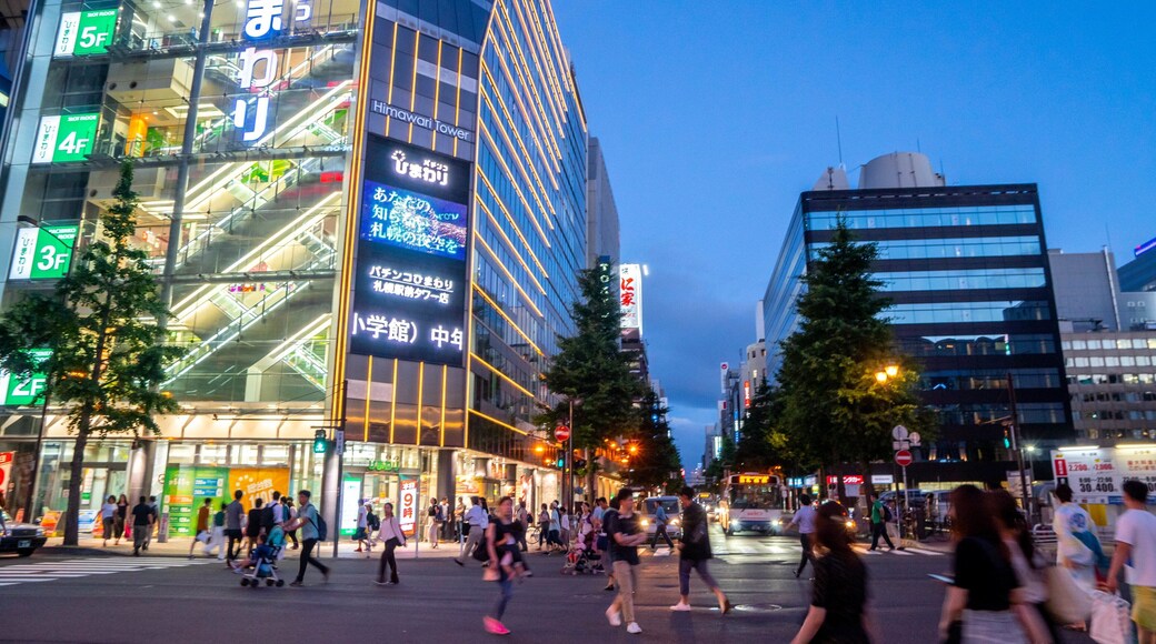 Sapporo which includes night scenes, a city and street scenes