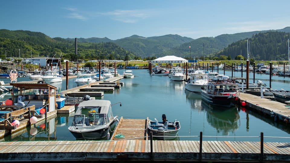 A marina with various boats docked, surrounded by lush green hills.