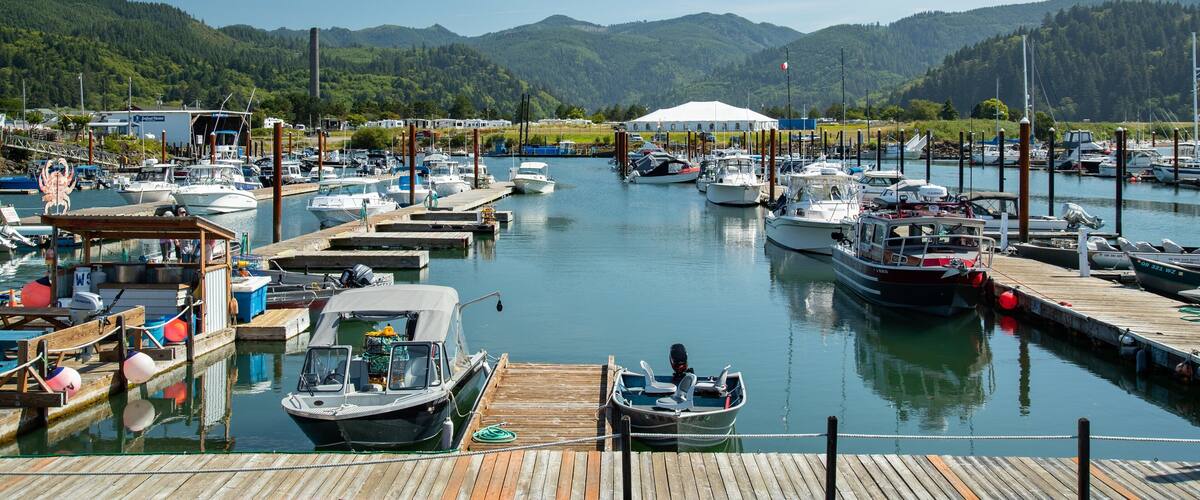 A marina with various boats docked, surrounded by lush green hills.