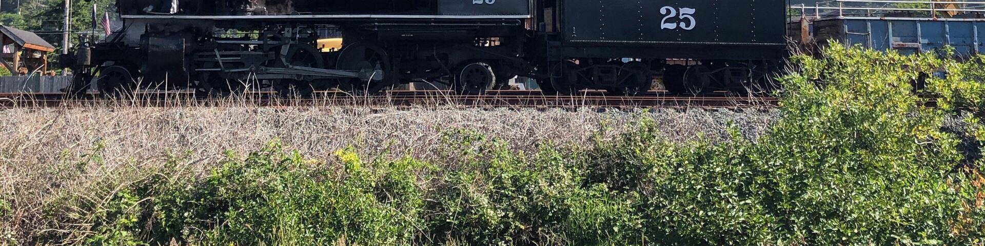 Authentic steam train that travels along a beautiful section of the Oregon Coast.