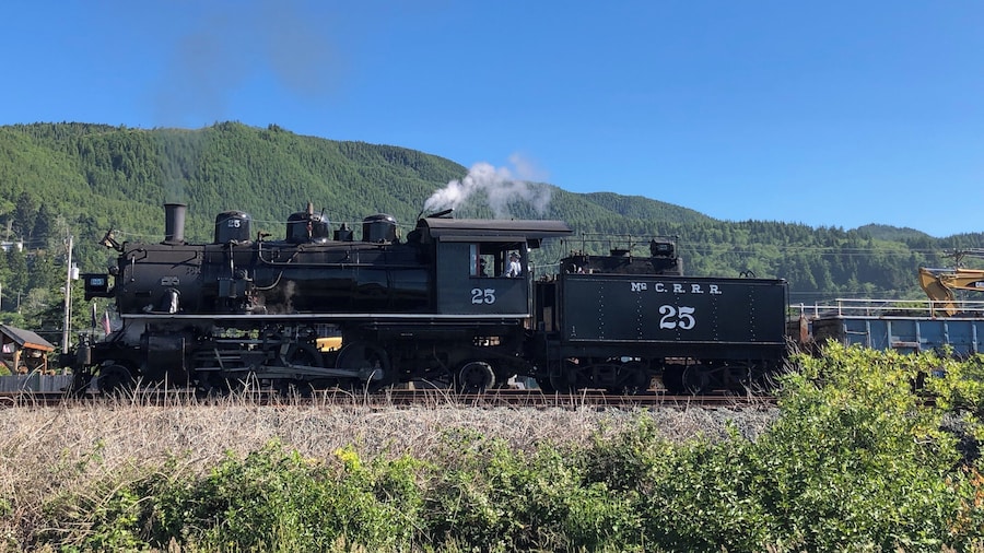 Authentic steam train that travels along a beautiful section of the Oregon Coast.