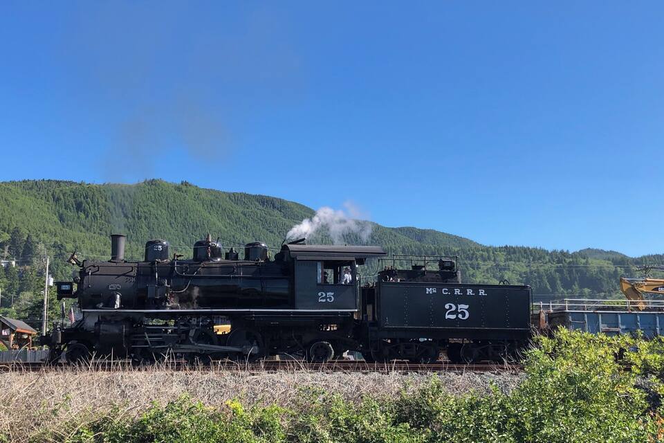 Una locomotora de vapor número 25 sobre rieles, con una montaña boscosa al fondo.
