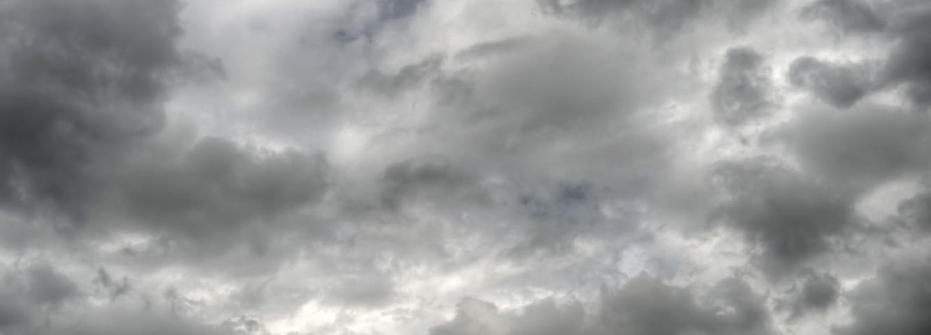 Trees - San Giovanni in Persiceto (BO) Italy - May 16, 2013