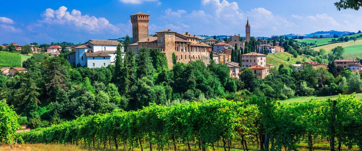 A historic town with a prominent tower, lush vineyards, and rolling hills in the background.