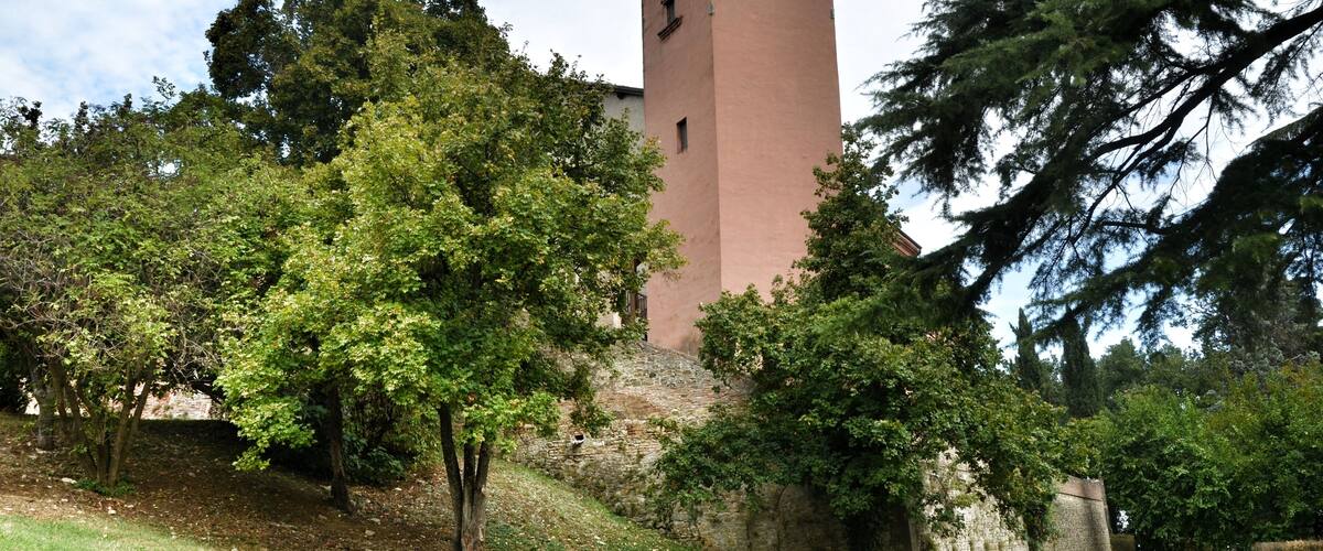 A tower surrounded by trees and grass.
