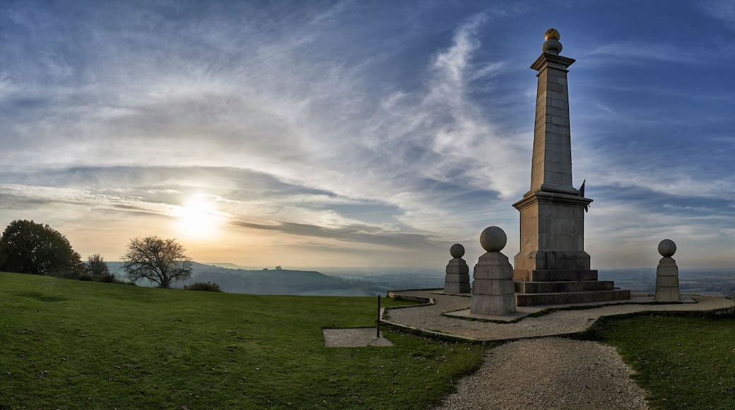 A monument with a statue on top, surrounded by a grassy area with a clear sky and distant landscape.
