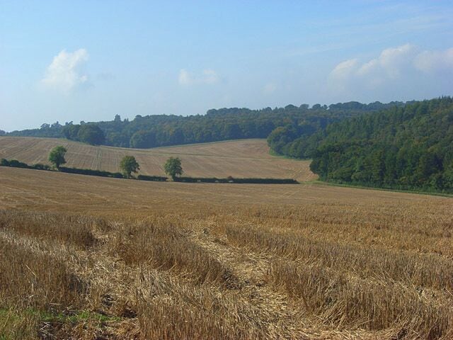 Stubble, Cadmore End Looking down from the footpath west of Watercroft Farm with Leygrove's Wood to the right.
