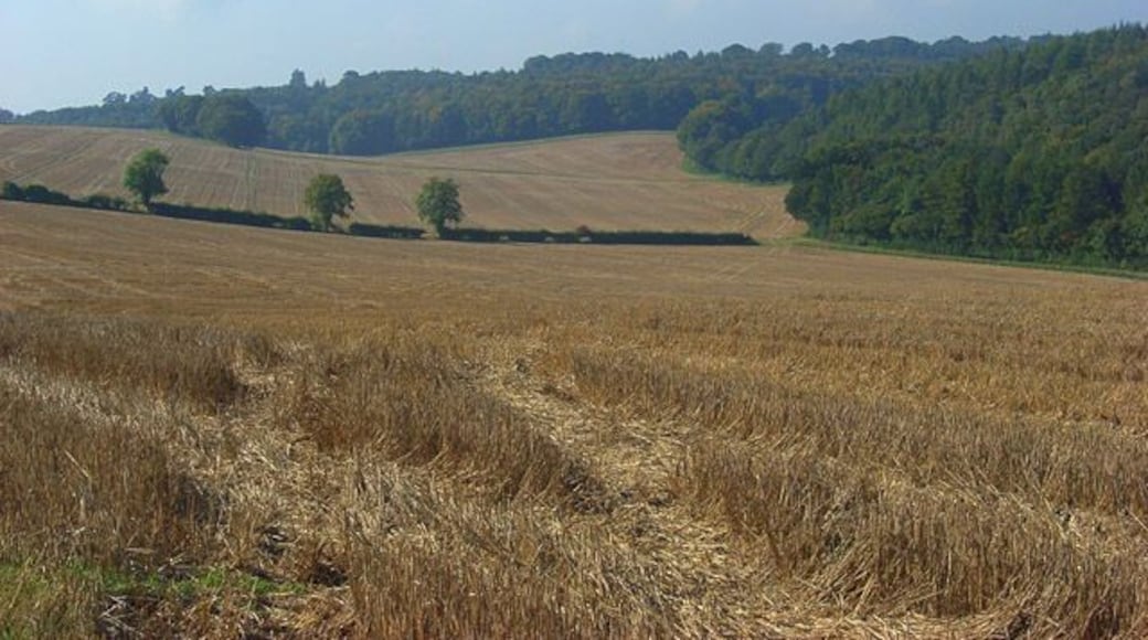 Stubble, Cadmore End Looking down from the footpath west of Watercroft Farm with Leygrove's Wood to the right.