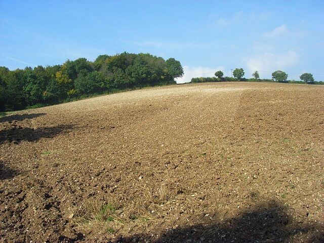 Farmland, Cadmore End Looking up to the northeastern corner of Leygrove's Wood.