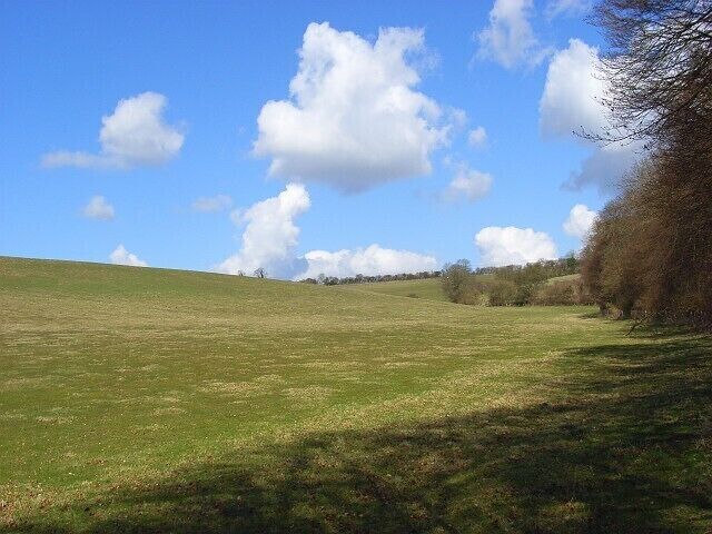 Pasture, Cadmore End Alongside Hanger Wood. The view from the bridleway climbing up from Chequers Lane.