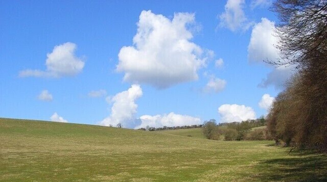 Pasture, Cadmore End Alongside Hanger Wood. The view from the bridleway climbing up from Chequers Lane.