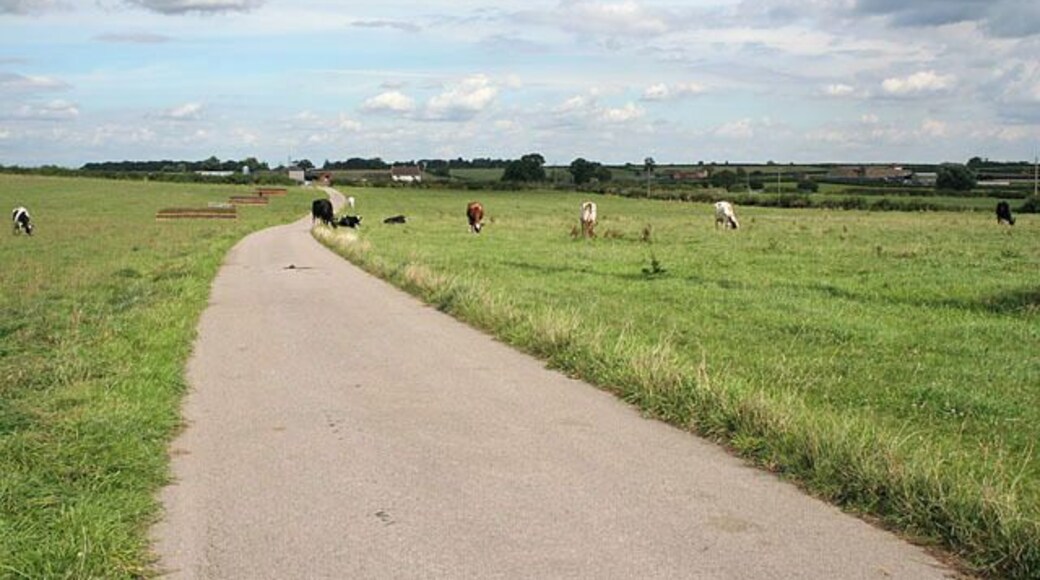 Farm road to Walton Lodge Farm, Sutton in the Elms. Walton Lodge Farm in the centre and Sutton Fields Farm to the left. There are two farms called "Sutton Fields" here. This is the more northerly one.