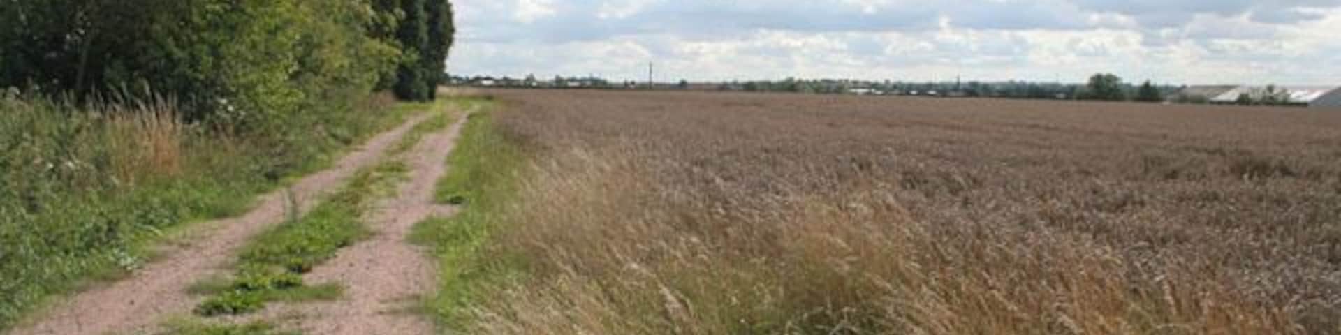 Farm track off Cosby Road.