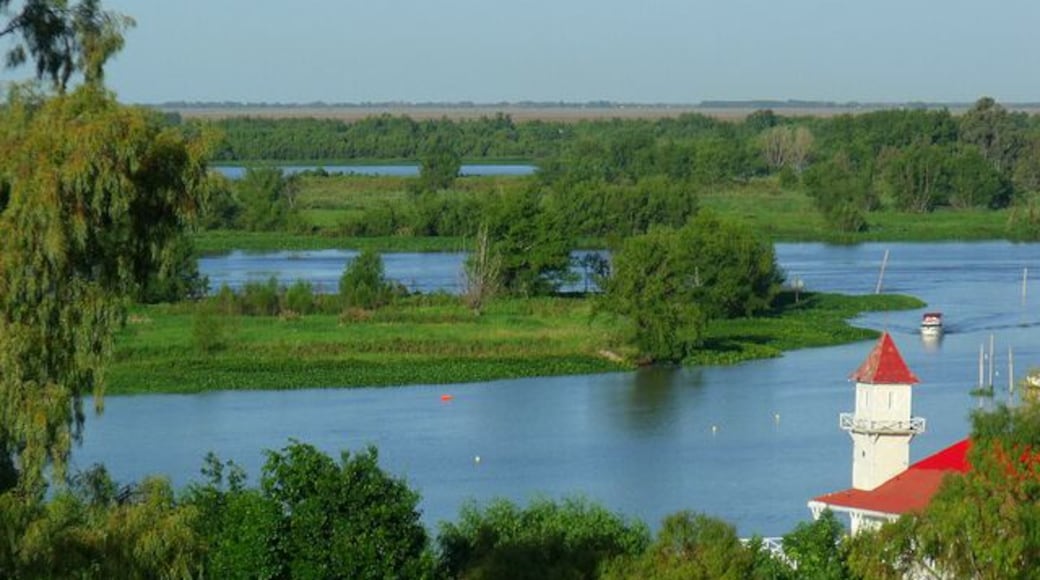 Su nombre completo es Rincón de San Pedro Dávila de los Arrecifes. Se halla a 170 km de la Capital. Se ubica sobre altos barrancos desde donde podemos divisar las aguas del Río Paraná. Su paisaje extiende su belleza en los campos, mayormente de cultivos de cítricos, durazneros y ciruelos, que se alternan con los rosales y plantas de los viveros.
De niña solía viajar a la casa de mis abuelos, que contaban con una huerta en la parte de atrás de la casa. Hoy suelo realizarme escapadas frecuentes a San Pedro en algunos fin de semanas en que necesito relajarme y alejarme un poco de la ciudad.
http://pasearconari.blogspot.com.ar/2016/02/un-paseo-de-fin-de-semana-en-san-pedro.html