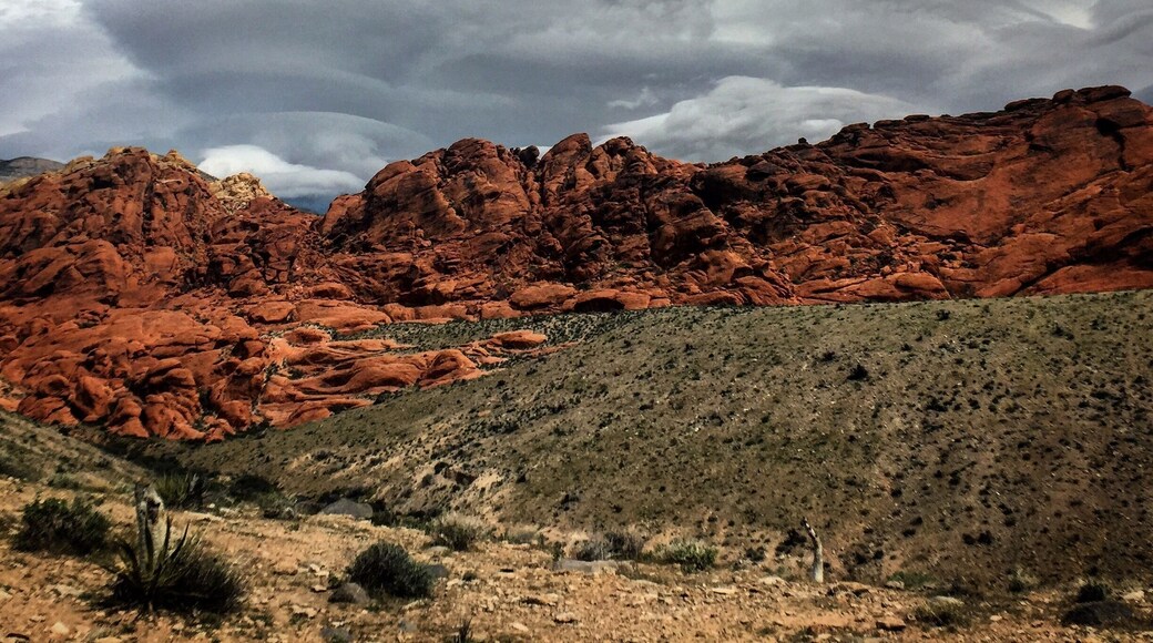 Too cool for the pool today so we hit the trails. Such beautiful scenery.