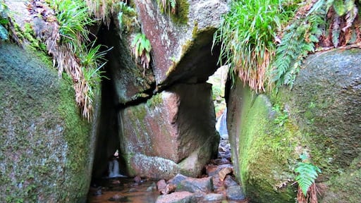 📍Burn O'Vat, Dinnet
A short walk from the Burn O'Vat car park you reach the end of the man made track and have to navigate the stepping stones through the natural doorway and into "the Vat". An impressive geological pothole with a beautiful waterfall.