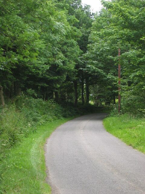 Minor road from mid Ardoe. The minor road by Townhead Cottages.