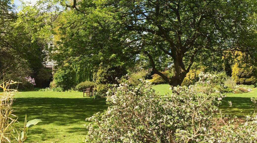 The University of Aberdeen Cruikshank Botanic Gardens looking lovely (as always) in the spring sunshine #beautifulaberdeen #aberdeen #garden #botanicalgardens