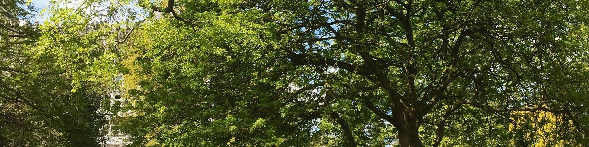 The University of Aberdeen Cruikshank Botanic Gardens looking lovely (as always) in the spring sunshine #beautifulaberdeen #aberdeen #garden #botanicalgardens