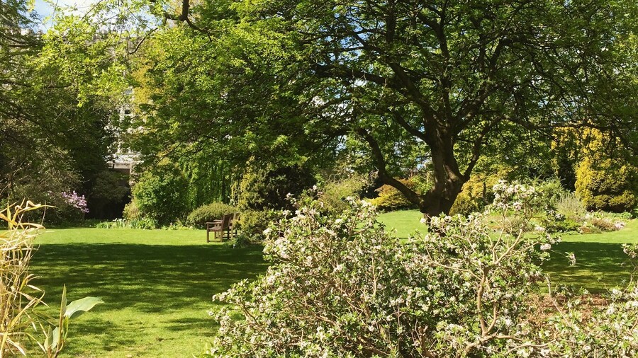 The University of Aberdeen Cruikshank Botanic Gardens looking lovely