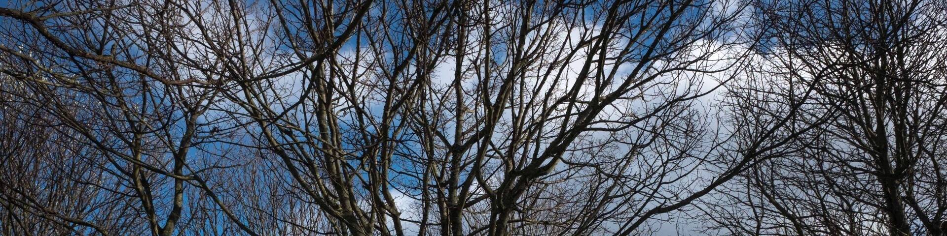 Famed for its granite and (freezing) beach...thought I'd shared a photo taken in the summer. Hope you enjoy!